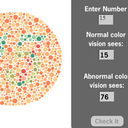  Color Vision Test 