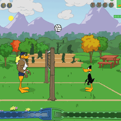  Tricky Duck Volleyball 