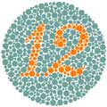  Flash-игры - Color Vision Test 