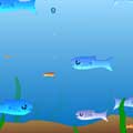  Fishy 