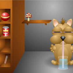  Flash-игры - Tamagochi 